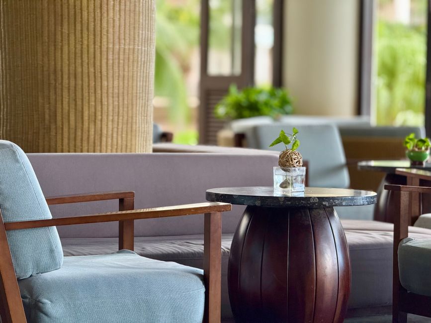 A bright, plant-filled waiting area.